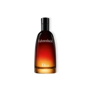 DIOR FAHRENHEIT EDT M 100ML